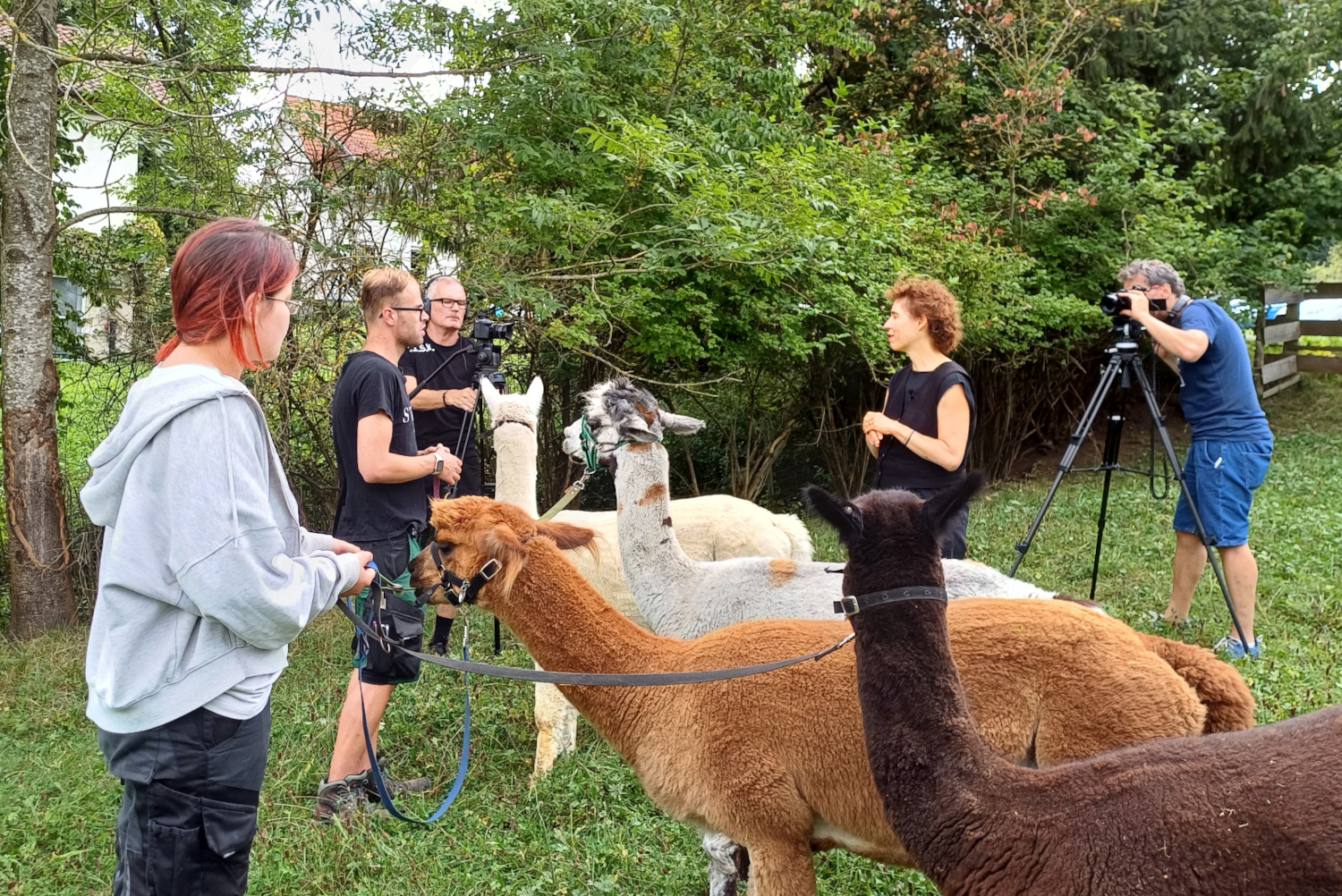Neue Filme von Abenteuer Teilhabe 